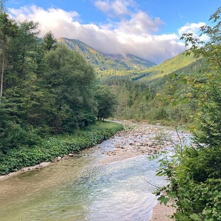 Landschaft am Fluss
