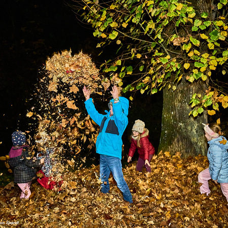 (C)FotoLois.com, Alois Spandl. 'Nacht der 1000 Lichter' in der Pfarrkirche Wieselburg, Do 31. Oktober 2024.